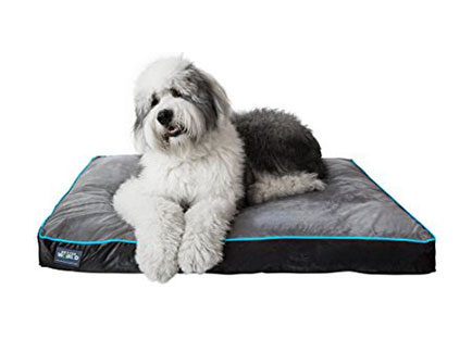 Better World Pets Dog Bed Better World Pets Dog Bed
