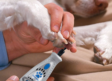 Dremel 7300-PT Pet Nail Grinder Dremel 7300-PT Pet Nail Grinder