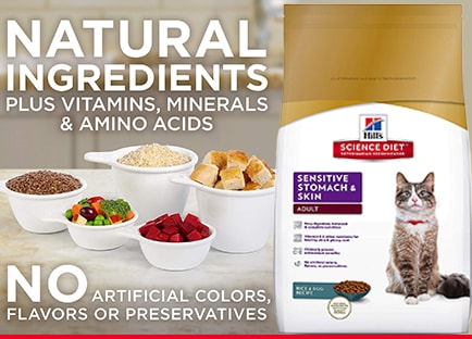Hill's science diet sensitive stomach cat food Best sensitive stomach cat food - Hill's science diet sensitive stomach cat food