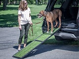 Gen7Pets Natural Step Ramp for Pets Gen7Pets Natural Step Ramp for Pets